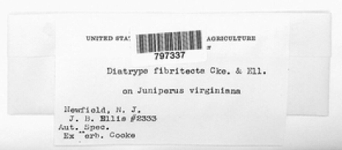 Diatrype fibritecta image